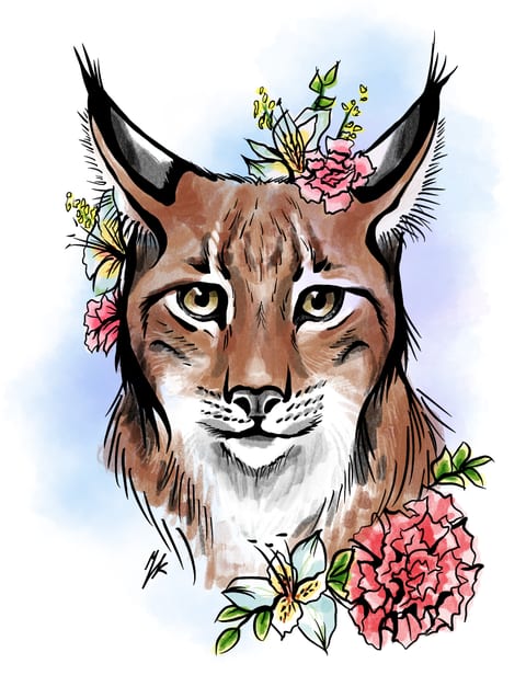 Lynx