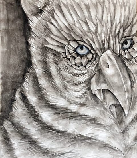 Owl Bear