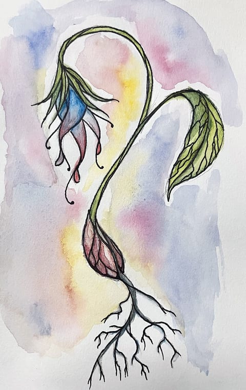 Sprout