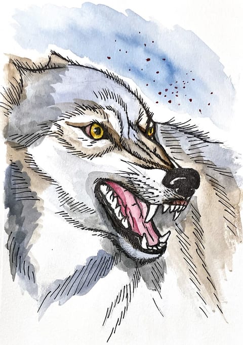 Instinct