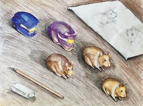 Metamorphosis