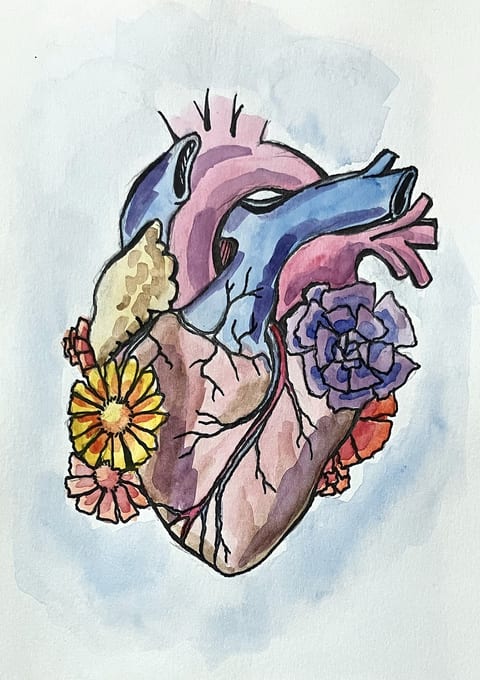 Heart