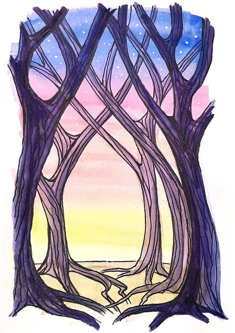 Forest